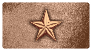 DSC700 430 CP BZ Star Copper Bronze